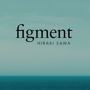  Hiraki Sawa. figment