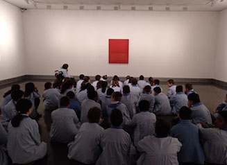 Módulo “Rothko experience”